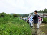 16日：定例観察会「植物園を楽しむ会」（朝露のひと時を楽しむ）」