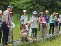 12日：定例観察会「植物園を楽しむ会」（ミズトンボと秋の花を楽しむ）」