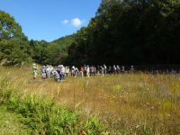 18日：定例観察会「植物園を楽しむ会」（花と実りの草原を楽しむ）