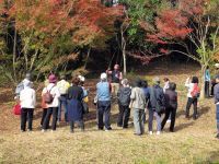 22日：植物園を楽しむ会（色葉散る晩秋を楽しむ）