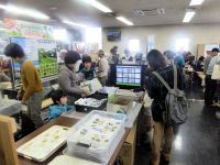 3日：第15回「11月3日は自然史博物館まつり」植物園・昆虫館合同出張コーナーの様子