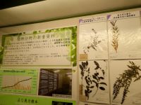 28日：自然史博物館 特別展「新着資料展2015」観覧