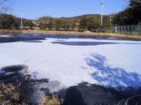 25日：寒波により凍結した池の氷上の積雪
