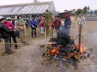 17日：植物園を楽しむ会（年の瀬と新年の植物を楽しむ）