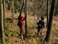 6日：ボランティアによる園内立木のナンバー付け作業