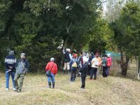 14日：植物園を楽しむ会（常葉の木々を楽しむ）