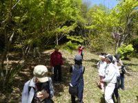 17日：植物園を楽しむ会「“名も知らぬ”花々を楽しむ）」