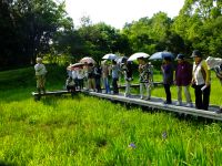 22日：総社市 昭和公民館 山野草講座 見学