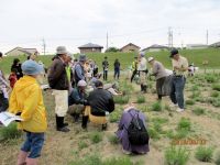 3日：自然観察会「西大寺 ハマウツボと砂地の生き物観察会」