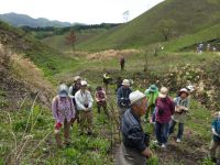 8日：自然観察会「サクラソウと蒜山の春」