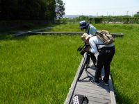 20日：RSK山陽放送「笑味ちゃん天気予報」トキソウ取材