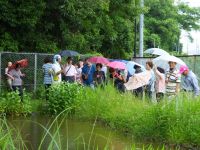 12日：新庄村 自然保護連絡協議会 見学