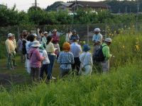 23日：定例観察会「植物園を楽しむ会」（花咲く夕べを楽しむ）