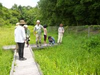 23日：倉敷民主会館 自然観察会 見学