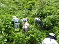 2日：「夏の草原保全と観察会」(真庭市)