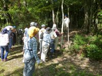 11日：定例観察会「植物園を楽しむ会」（さんぽのすゝめ～「山歩」を楽しむ）