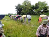 14日：サンコウトラベル（広島）自然観察ツアー 見学