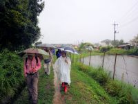 22日：定例観察会「植物園を楽しむ会（花が彩る秋彼岸を楽しむ）」