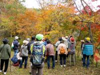 20日：植物園を楽しむ会「草木のタネや実を楽しむ」