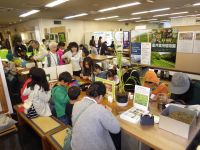 3日：第16回「11月3日は自然史博物館まつり」植物園 出張コーナーの様子