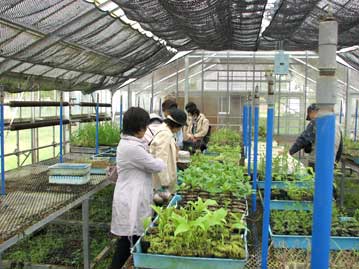 温室内の見学風景