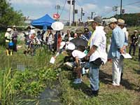 倉敷市加須山「ミズアオイ観察会～自生地周辺の生物多様性～」（倉敷市主催）参加者73人