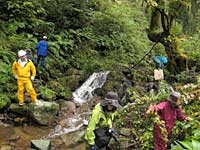 新見市の国有林における植物調査