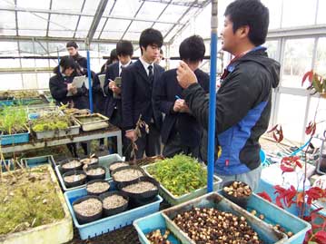 植物園・昆虫館コーナーの様子。イベント開始しばらくするとだんだんと子供たちの列ができ始めました。