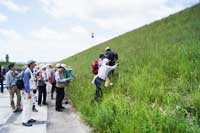 自然観察会「河原の植物」