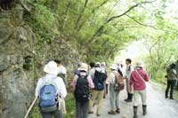 近畿植物同好会・岡山植物誌研究会 合同観察会