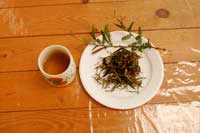 園内のカワラケツメイを焙煎してお茶を作った
