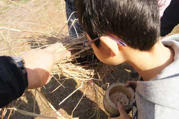 火口に火がついたら、よく乾いた枯れ草に包んで、息を吹きかけます。だんだん煙が出て来て、炎が上がったら、火起こし成功！