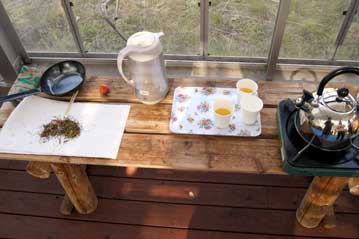 焼き芋が焼けるのを待つ間、植物園ボランティアさんが、植物園産のカワラケツメイのお茶を入れてくれました。普通の緑茶のように苦みが無いので、子どもにも好評でした。
