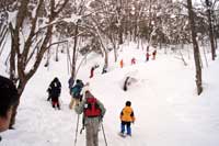 雪の里山探検！