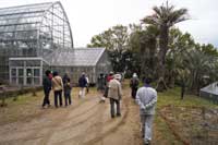 自然観察会「半田山植物園散策」