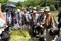 植物園を楽しむ会（トキソウとアサツキの花を楽しむ）