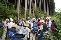 倉敷市立自然史博物館友の会 自然観察会「スゲ観察会」参加