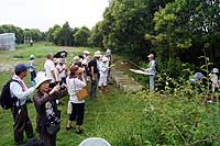 「植物園を楽しむ会（サギソウと昆虫観察を楽しむ）」