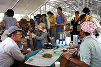 9日：「植物園を楽しむ会（こうかい茶作りを楽しむ）」