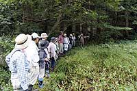 15日：岡山県自然保護センター 湿原保全活動