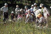 21日：重井薬用植物園 観察会