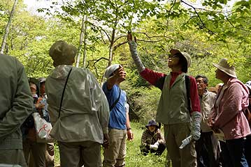 竹林でタケの話と桜の一種、ウワミズザクラについて解説中。タケノコがたくさん出ていましたが、参加者が多いので、閉会後、希望者のみでタケノコ掘り体験を行いました。