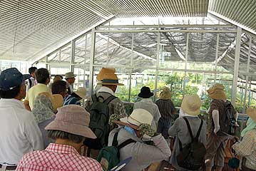 暑さにも負けず、36人の方が来園されました。今回はまずは日陰の温室内からの観察となりました。