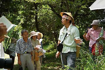 少し木陰に入って、カワラナデシコの観察と解説を行いました。