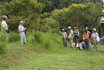 第5回の「植物園を楽しむ会」。今回は昆虫館の岡本館長が講師に加わり、植物と昆虫両面からの観察会となりました。参加者は41人。