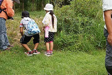 今回は昆虫観察ということで、子供の参加者の割合が多かったのですが、話を聞くよりは、バッタをつかまえるのに夢中な子も…