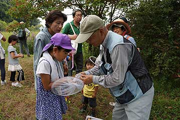 チョウ？をつかまえた子供に昆虫の扱い方を指導する岡本館長。網をねじっておくと逃げられずに済みます。