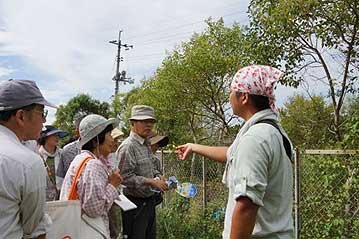 第6回の「植物園を楽しむ会」。今回はこうかい（カワラケツメイ）のお茶作りがメインですが、園内の散策も行いました。参加者39名。ノアズキの花を解説中。