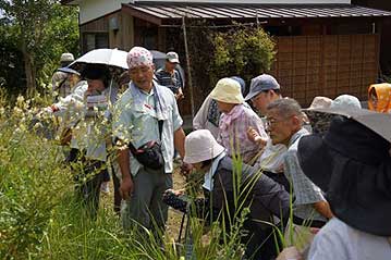 温室の多目的スペースに戻る前に、またマメ科の植物の観察。手前にイヌハギの白い花が咲いています。参加者がかがんでみているのはタヌキマメ。