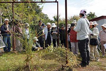 第7回の「植物園を楽しむ会」。今回は意外と花の多い季節ということで、「秋のお花畑」を紹介しました。まずは温室横のススキを刈った跡に注目。